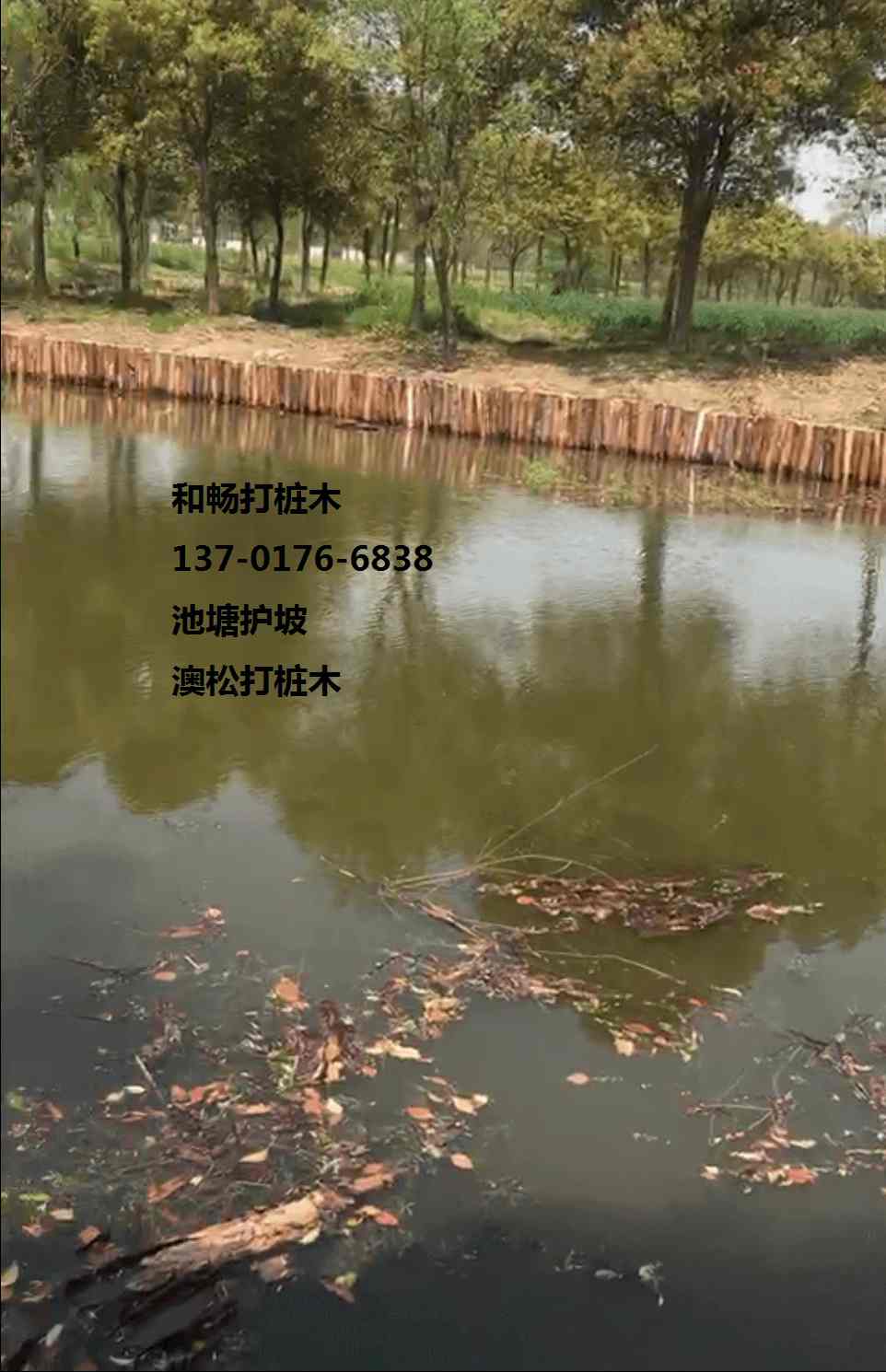 河道打桩木施工图